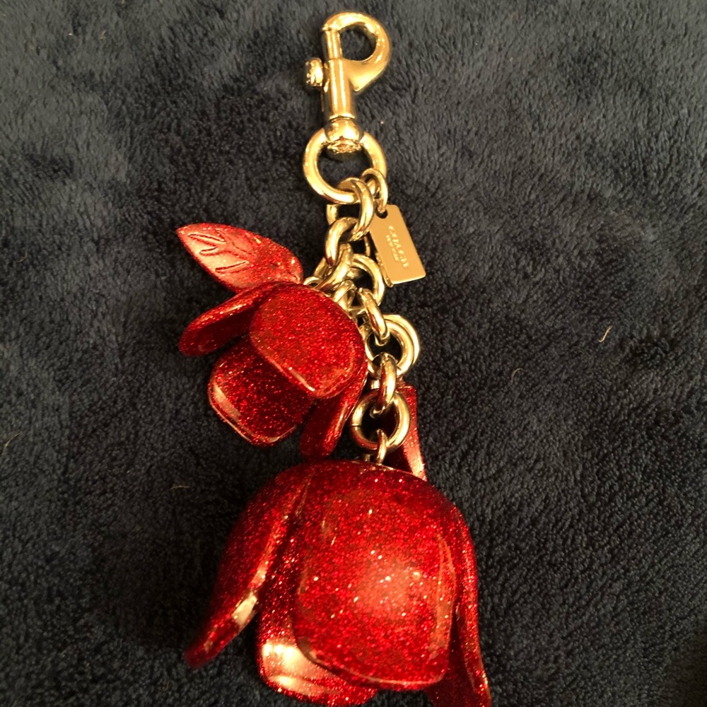 Cute sparkly bag charm by Coach